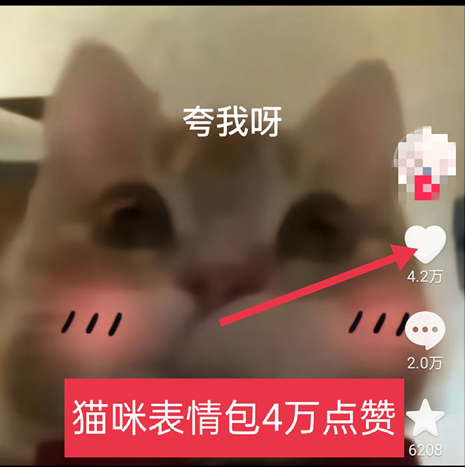 （5498期）黑科技纯原创可爱猫咪图片，全网精准引流，实操5个VX号被加频繁